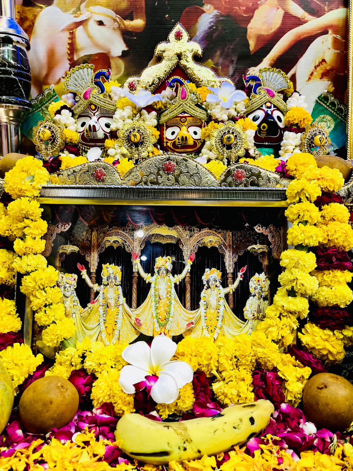 Sri Jagannath, Baladeva & Subhadra